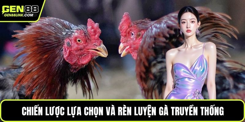 Chiến lược lựa chọn và rèn luyện gà truyền thống