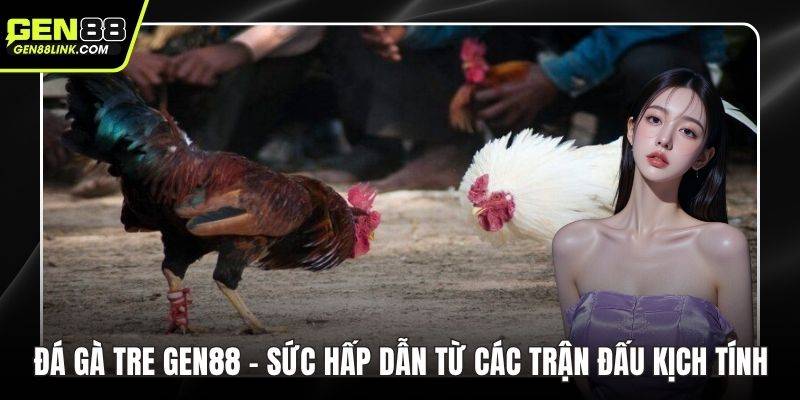 Đá Gà Tre Gen88 – Sức Hấp Dẫn Từ Các Trận Đấu Kịch Tính 1 Đá gà tre