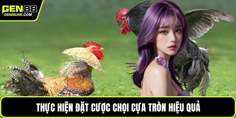 Thực hiện đặt cược chọi cựa tròn hiệu quả